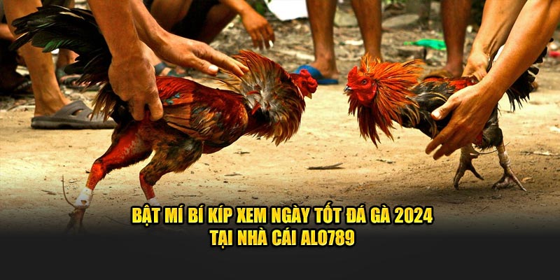 bí kíp xem ngày tốt đá gà 2024