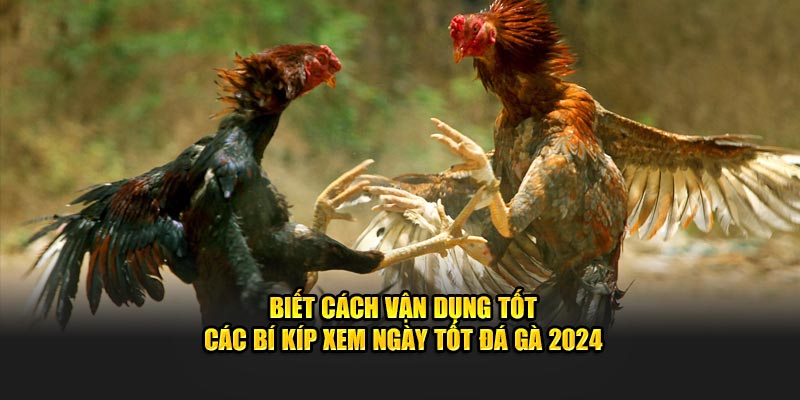 Biết cách vận dụng tốt các mẹo hay