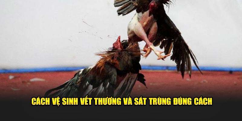 Cách vệ sinh vết thương và sát trùng đúng cách