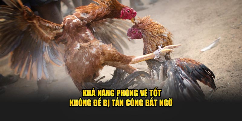 Khả năng phòng vệ tốt không để bị tấn công bất ngờ 