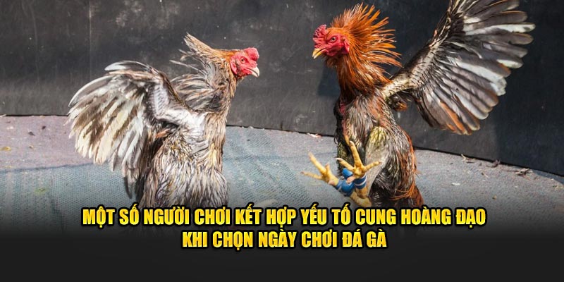 Một số người chơi kết hợp yếu tố cung hoàng đạo khi chơi