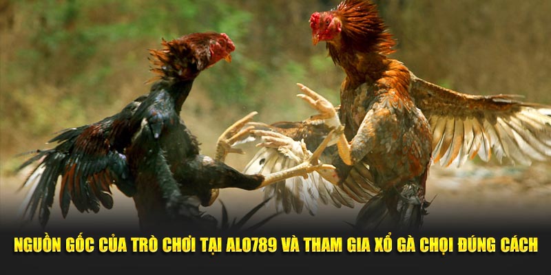 Nguồn gốc của trò chơi tại Alo789 và tham gia xổ gà chọi đúng cách