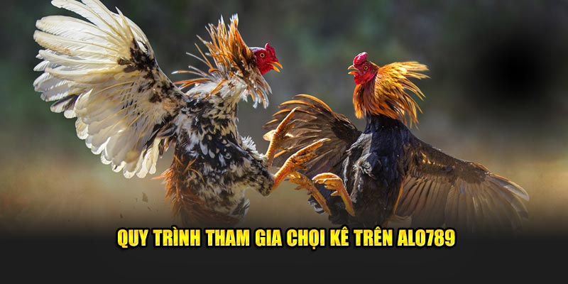 Quy trình tham gia chọi kê trên ALO789