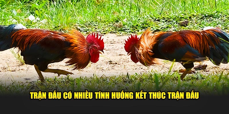 Trận đấu sẽ có nhiều tính huống kết thúc khác nhau